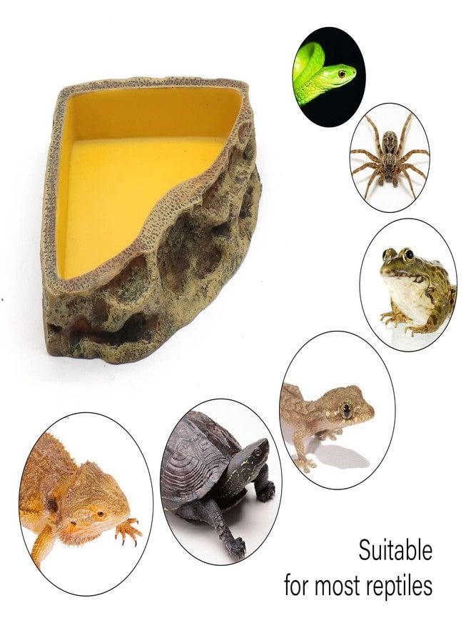 relaqcc Reptile Feeder Resin Bowl Amphibian Reptile Bowl for Lizard Gecko Bearded Dragon Turtle - Image 4